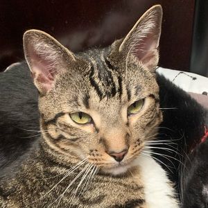 Meet your Posher, Michala